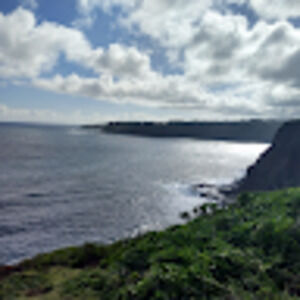 Meet your Posher, Adrienne